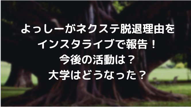 よっしーがネクステ脱退理由をインスタライブで報告 今後の活動は 大学はどうなった Information Mania